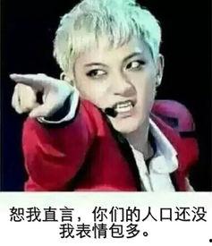 表情包大战 黄子韬,网络狂欢背后的明星魅力